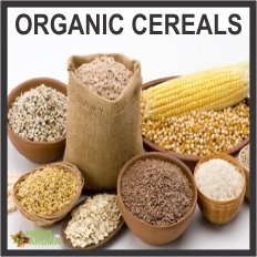 Organic Cereal